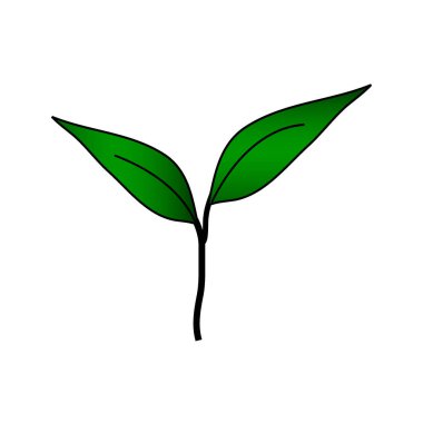 Beyaz simgesine Filiz.