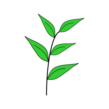 Beyaz simgesine Filiz.