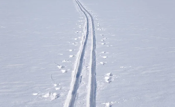 Pista da sci di fondo. — Foto Stock