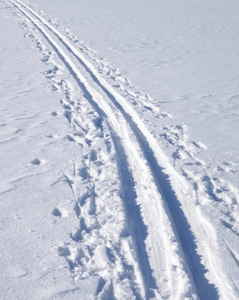 Cross country ski track. — Stock Photo, Image