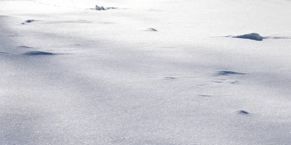 taze kar arkaplanı.