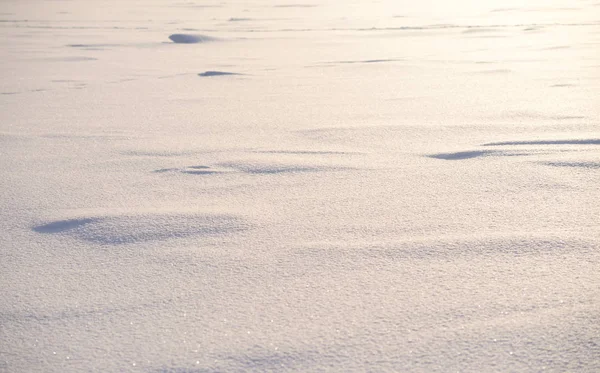 Fondo de nieve fresca . — Foto de Stock