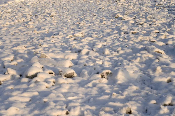 Fondo de nieve fresca . — Foto de Stock