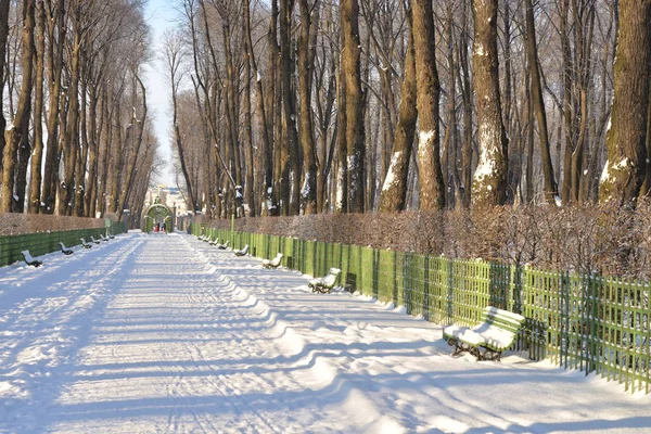 Alley in de zomertuin in St.Petersburg. — Stockfoto