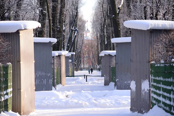 St.Petersburg yaz bahçede sokakta. — Stok fotoğraf