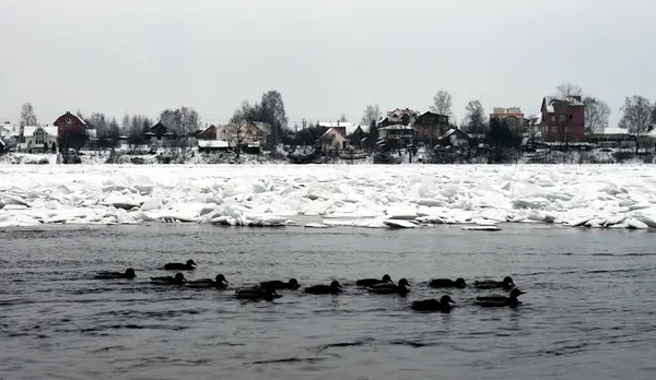 Floden på vintern på landsbygden. — Stockfoto