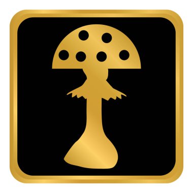 Beyaz Amanita düğmesini.