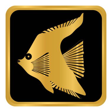 tropik balık düğmesi.