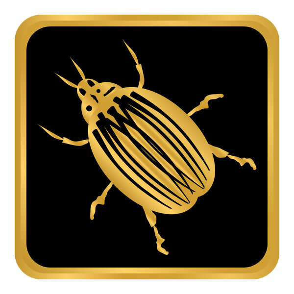 Bug button on white.