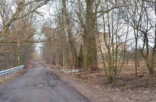 Strada sporca rurale all'inizio della primavera . — Foto Stock