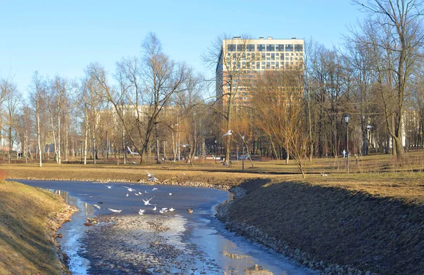 Voorjaarspark. — Stockfoto