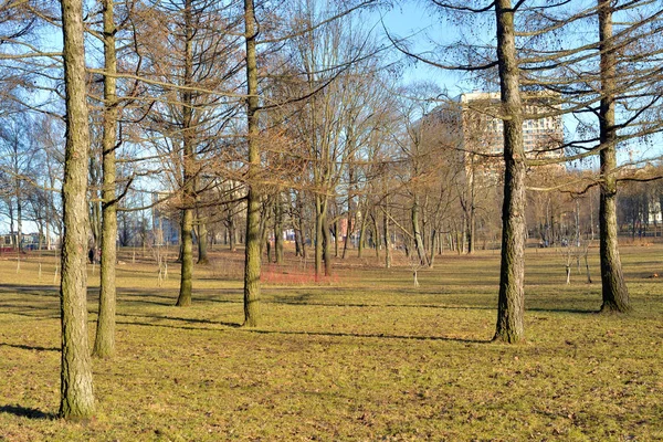 Frühlingspark. — Stockfoto