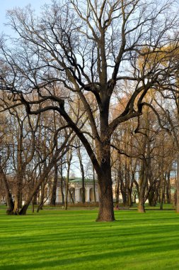 Bahar Garden'da Mikhailovsky.