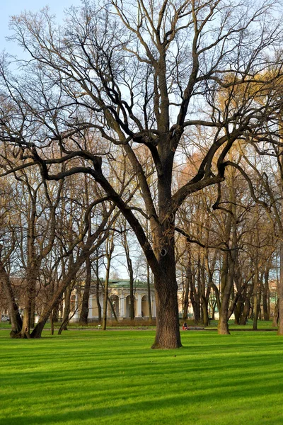 Jardin Mikhaïlovski au printemps . — Photo