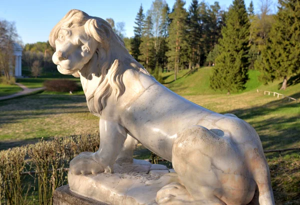 Löwenstatue Nahaufnahme Pavlovsk Der Nähe Von Saint Petersburg Russland — Stockfoto