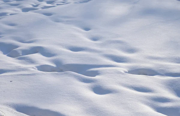 Sfondo neve inverno . — Foto Stock