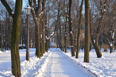 Saint Petersburg 'da Alexander Garden' da bir sokak.