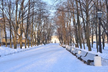 Saint Petersburg 'da Alexander Garden' da bir sokak.