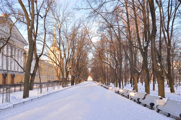Alley in Alexander Garden in Saint Petersburg. — Stock Photo, Image