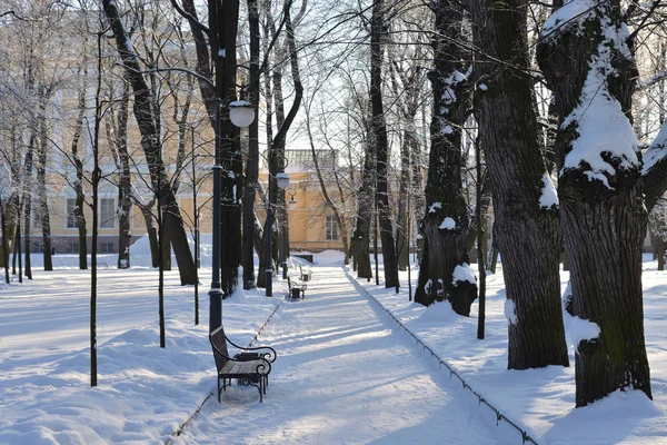 Аллея в Михайловском саду Санкт-Петербурга . — стоковое фото