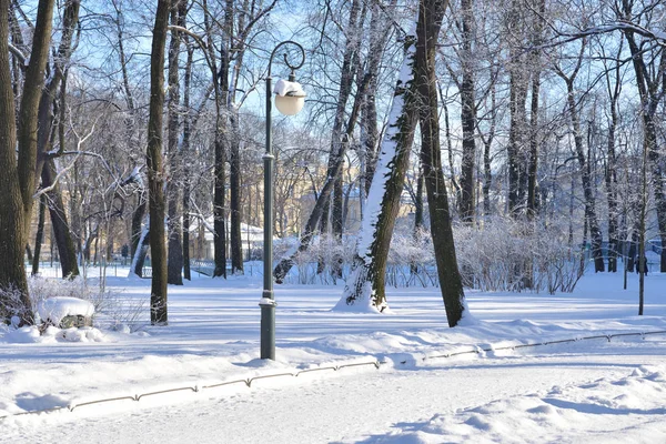 Mikhailovsky tuin in de winter. — Stockfoto