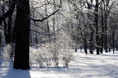 winter Park.