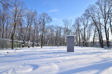 St. Petersburg 'da kışın Yaz Bahçesi.