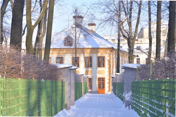 Alley in Summer Garden at winter in Saint Petersburg, Russia.