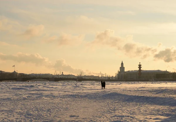 Brug Van Het Paleis Bevroren Neva Zonnige Avond Sint Petersburg — Stockfoto