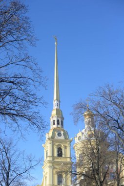 Peter ve Paul Katedrali güneşli bir kış akşamında Rusya, St. Petersburg 'da.