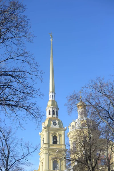 Cathédrale Pierre Paul Lors Une Soirée Hiver Ensoleillée Saint Pétersbourg — Photo