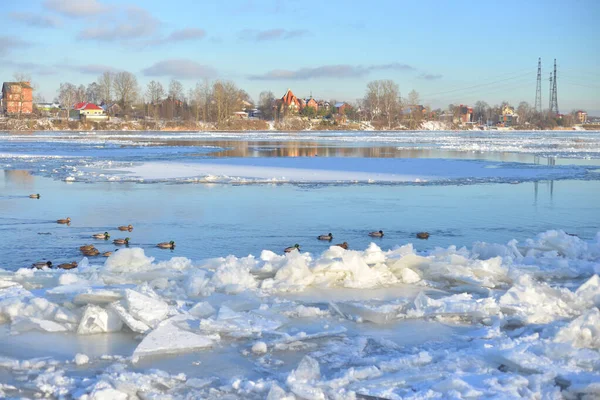 Uitzicht Rivier Neva Zonnige Winterdag Aan Rand Van Sint Petersburg — Stockfoto