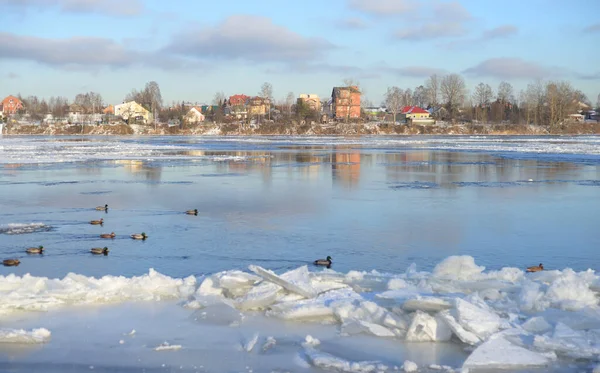 Vista Del Fiume Neva Nella Soleggiata Giornata Invernale Alla Periferia — Foto Stock