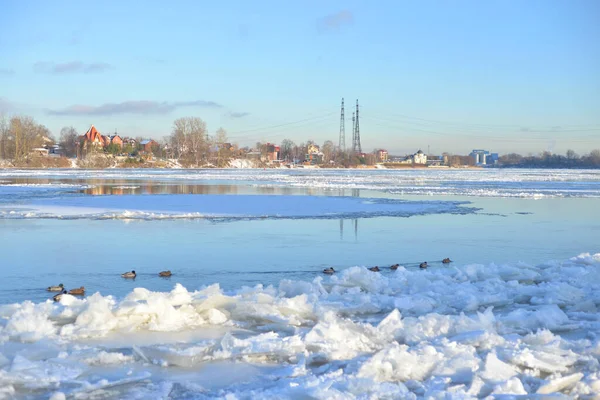 Вид Річку Неву Сонячний Зимовий День Околиці Санкт Петербурга Росія — стокове фото