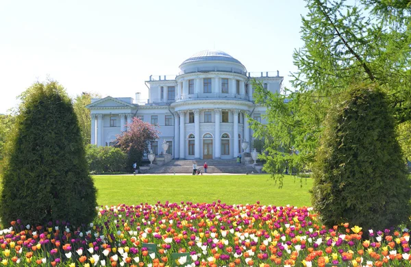 Elagin Palast Und Blühendes Tulpenbeet Petersburg Russland — Stockfoto