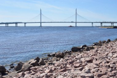 Rusya 'nın Saint Petersburg kentindeki Petrovsky çim yolu üzerindeki kablolu köprü. Batı 'nın yüksek hızlı çapının bir kısmı.