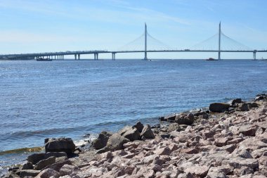 Rusya 'nın Saint Petersburg kentindeki Petrovsky çim yolu üzerindeki kablolu köprü. Batı 'nın yüksek hızlı çapının bir kısmı.