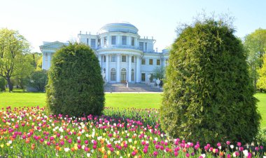 Elagin Sarayı ve çiçek açan laleler Rusya, St. Petersburg 'da.