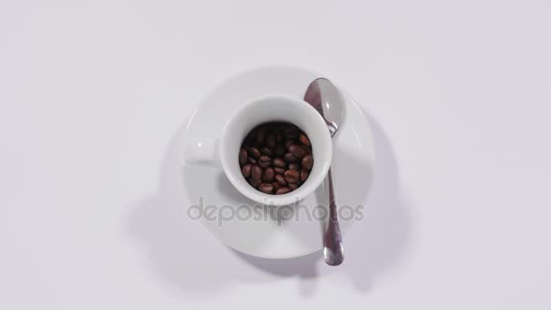 Granos de café en taza — Vídeo de stock