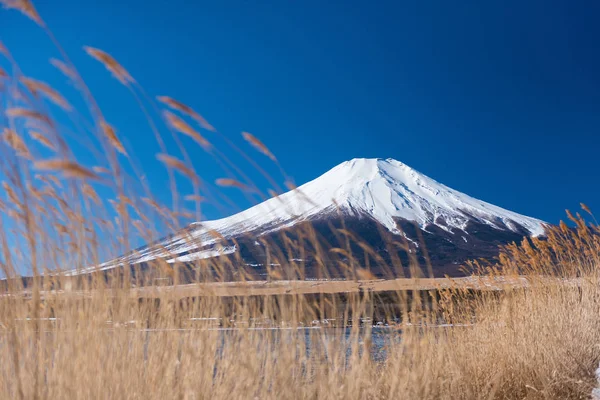 Fuji de montagne avec herbe — Photo