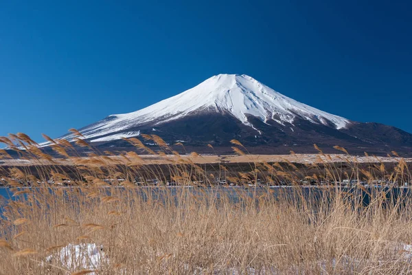 Fuji de montanha com grama — Fotografia de Stock