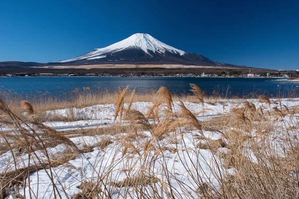 Hora Fuji s trávou — Stock fotografie