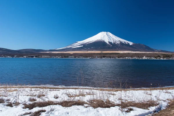 Fuji de montanha com grama — Fotografia de Stock