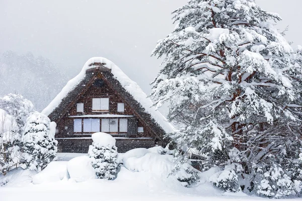 Historická vesnice shirakawago — Stock fotografie