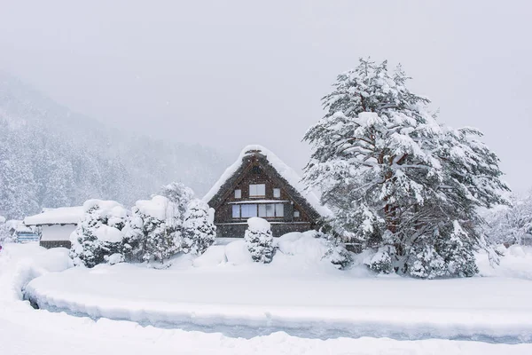 Історичні селища Shirakawago — стокове фото