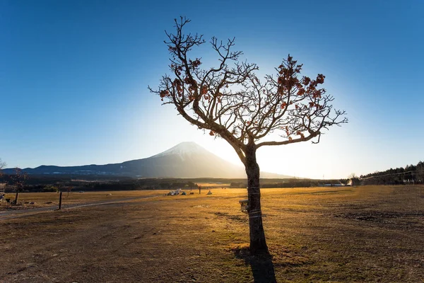 Salida del sol en el campo de tierra de Mt.fuji — Foto de Stock