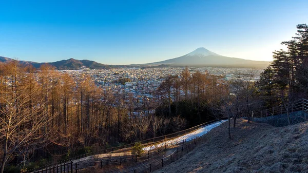 Fuji berget med utsikt över stadsbilden — Stockfoto