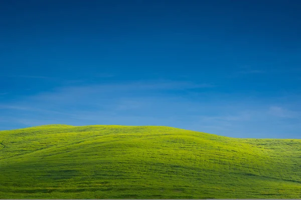 O campo verde com céu claro — Fotografia de Stock