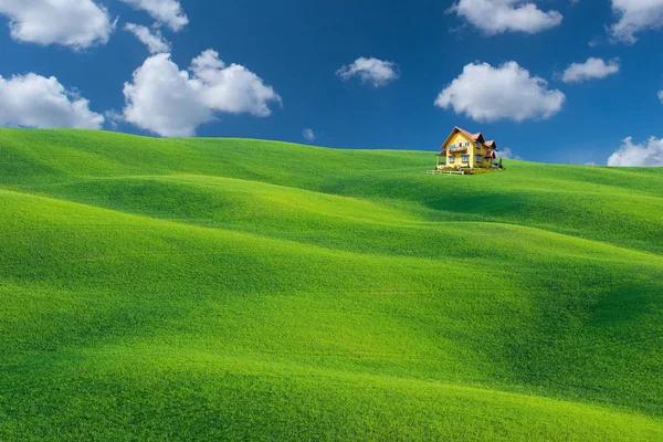 Le champ vert avec un ciel clair — Photo