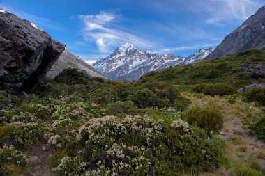 mt.cook Milli Parkı, Yeni Zelanda manzara